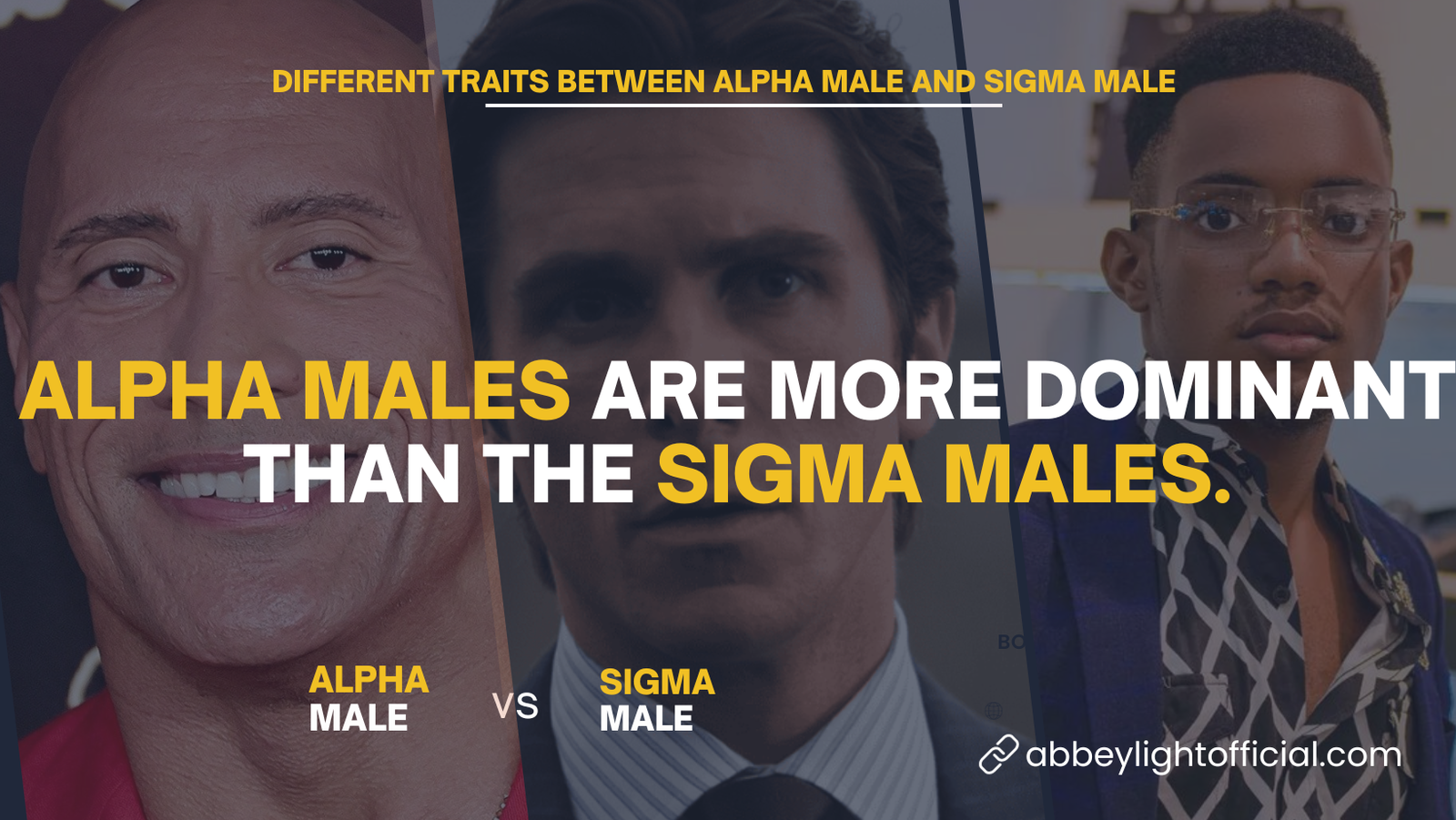 Sigma Male Vs Alpha Male 10 Differences And Traits