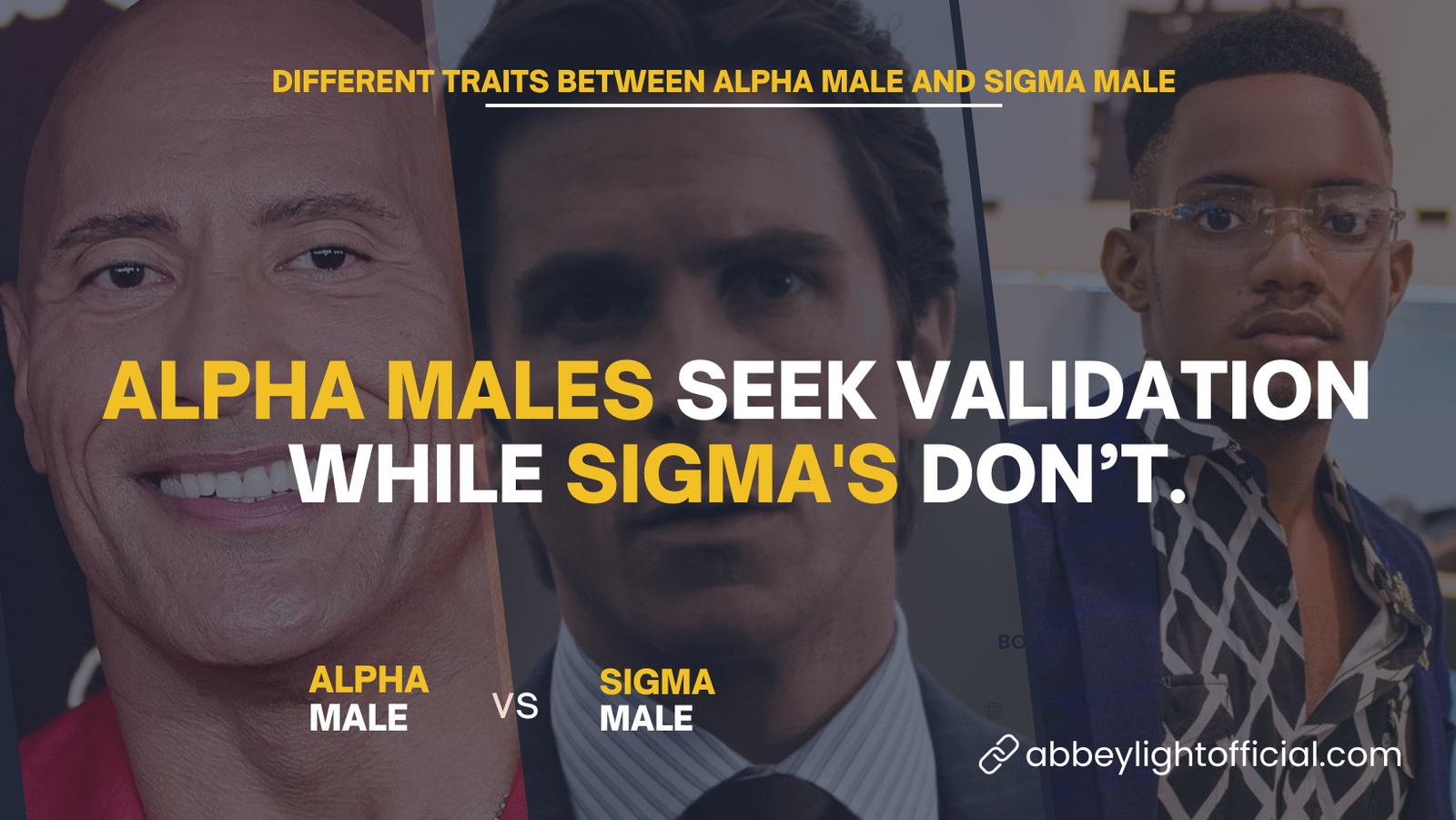 Sigma Male Vs Alpha Male Differences And Traits