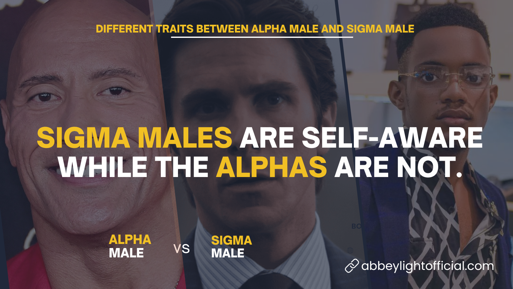 Sigma Male vs Alpha Male 10 Differences and Traits
