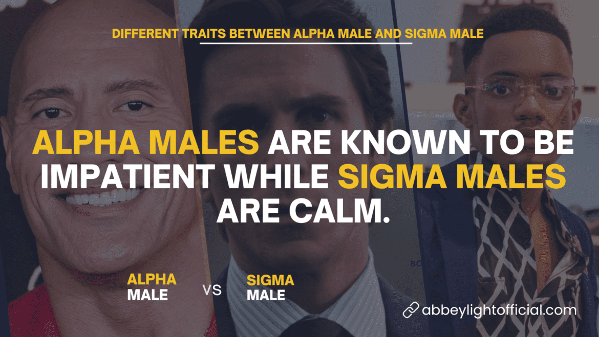 Sigma Male vs Alpha Male 10 Differences and Traits