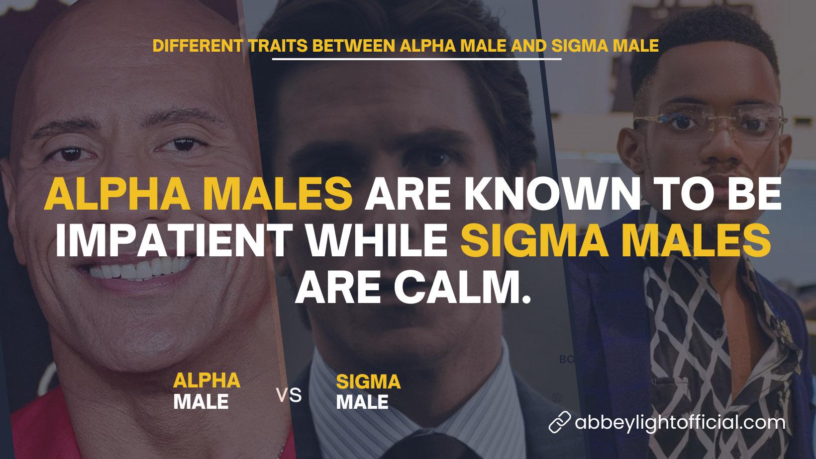 Sigma Male vs Alpha Male 10 Differences and Traits
