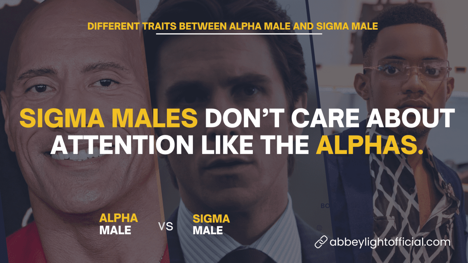 Sigma Male vs Alpha Male 10 Differences and Traits