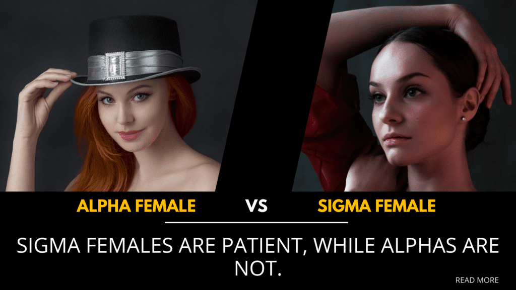 Alpha vs Sigma Female: differences
